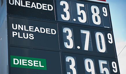 Gasoline Price Hotline