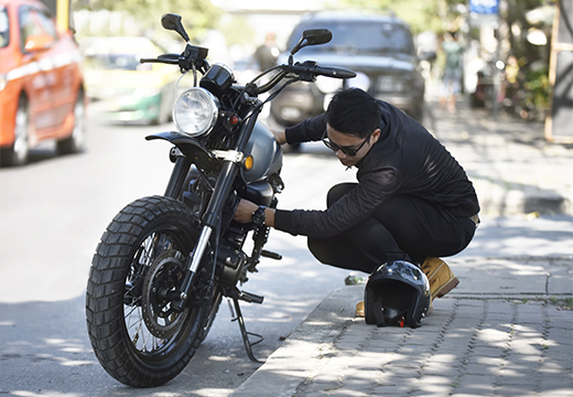 optional RV/Motorcycle Rider