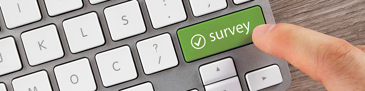 Keyboard for on-line survey