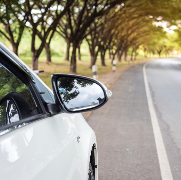 car rental in Europe wooded street