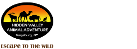 Hidden Valley Animal Adventure logo
