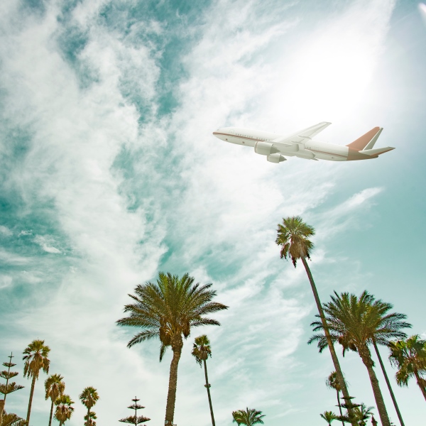 airplane in the sky over palm trees