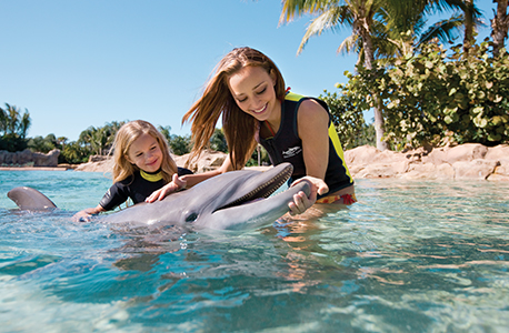 Child and adult petting a dolphin