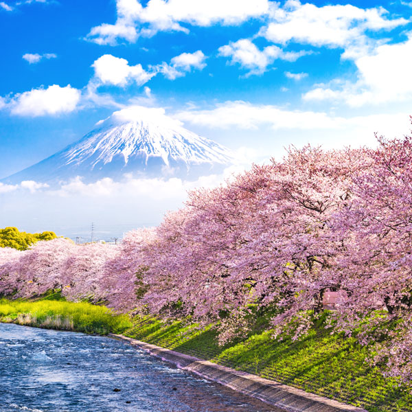 Mt Fuji in Japan