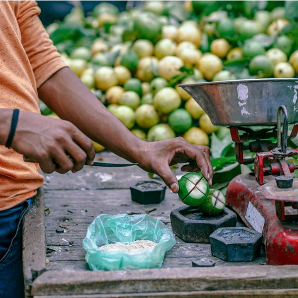 preparing vegetables