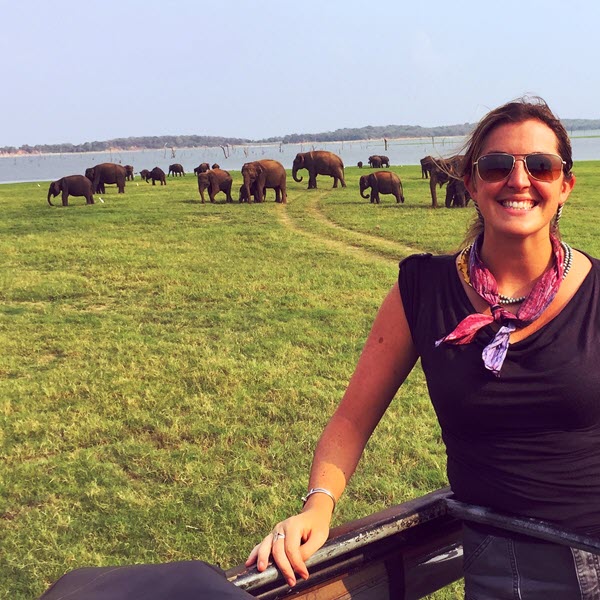 tour guide and elephants in Sri Lanka