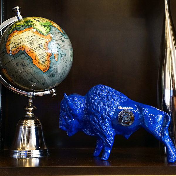 The Herd of Hope Mini Buffalo at AAA Western and Central New York