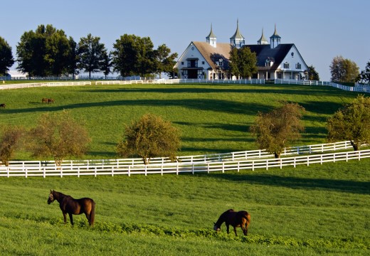 Kentucky horse farm