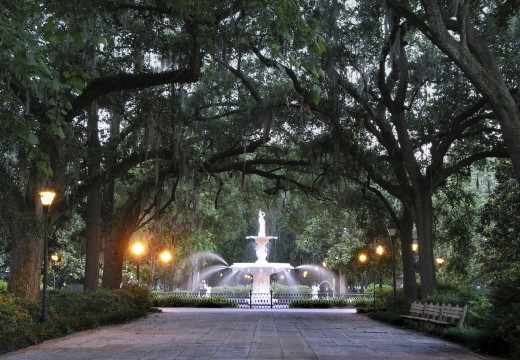 Savannah