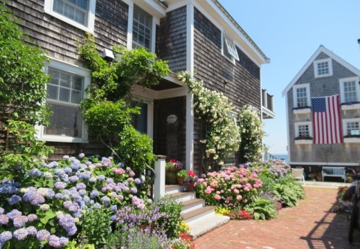Cape Cod