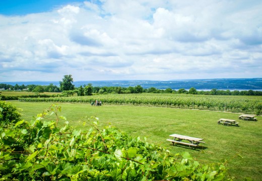 Seneca Lake Wine Trail