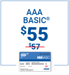 Basic Corporate Membership