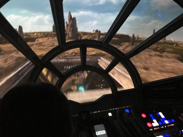 You can immerse yourself in the Star Wars experience at Disney.
