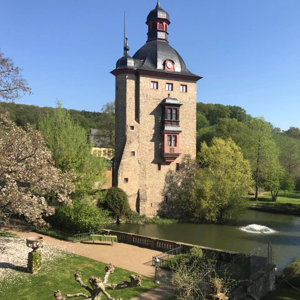 Castles Along the Rhine