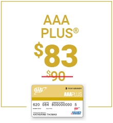 Plus Membership $83 card