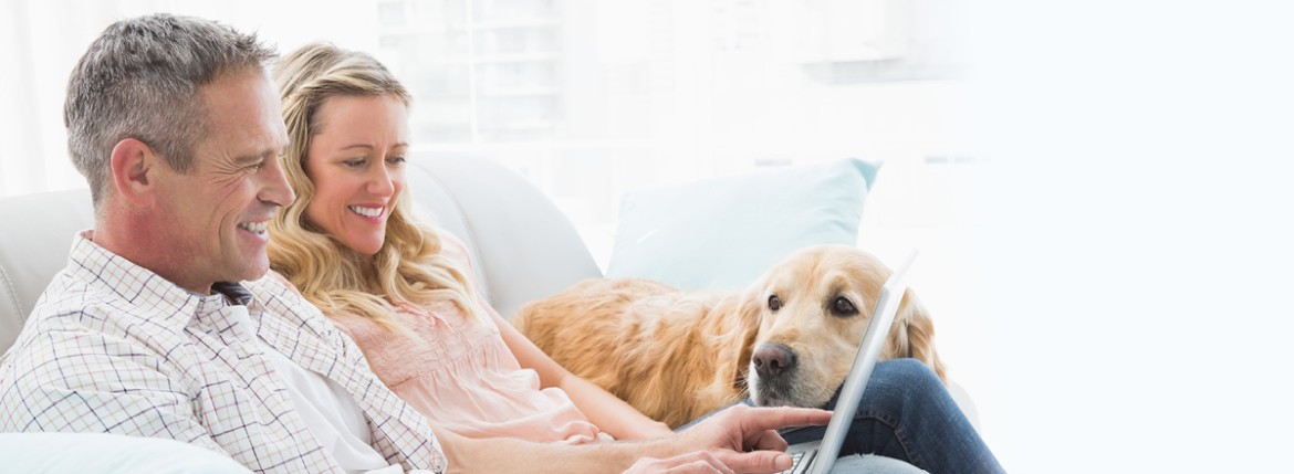 We make it easy to manage your AAA Membership online