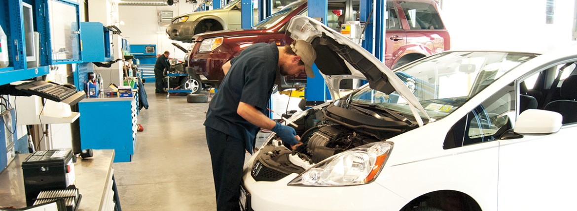 Annual Maintenance Plan