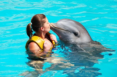 woman swimming with dolphin