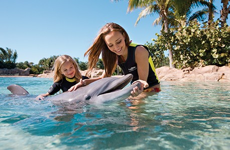 Dolphins swimming with sisters