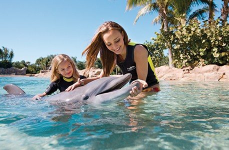 Child and adult petting a dolphin