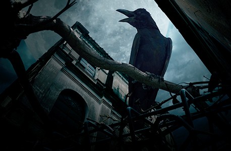 A raven perched on a tree at night outside of an old building.