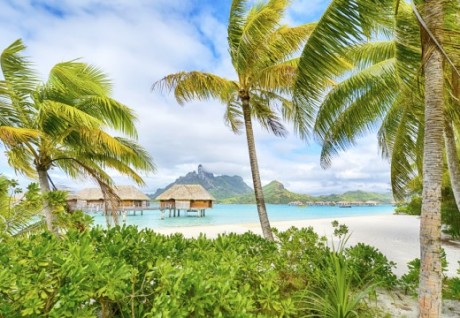 White Sand Beaches