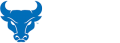 Blue UB Bulls logo